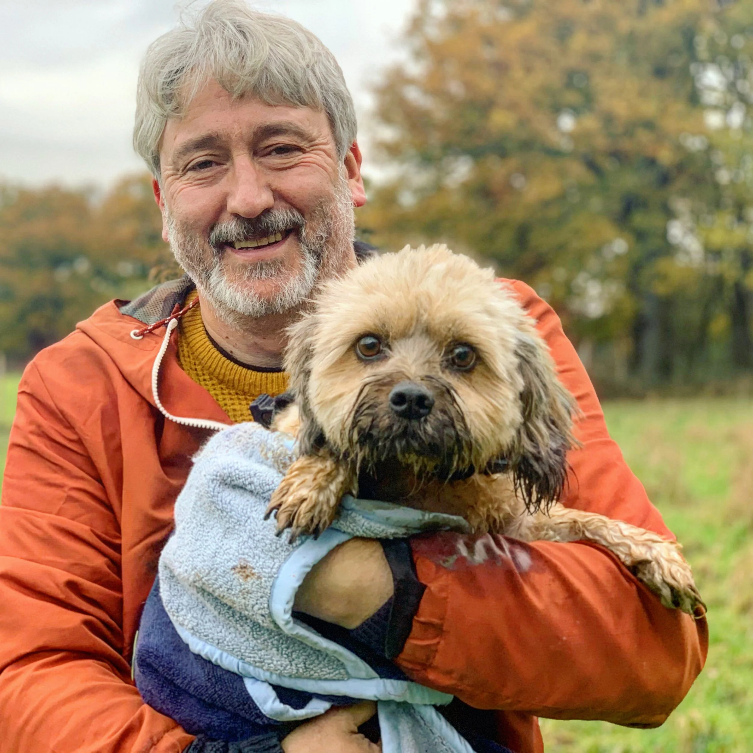 NEEDS TO RUN MARCH 2 - Wheelchair dogs - feature