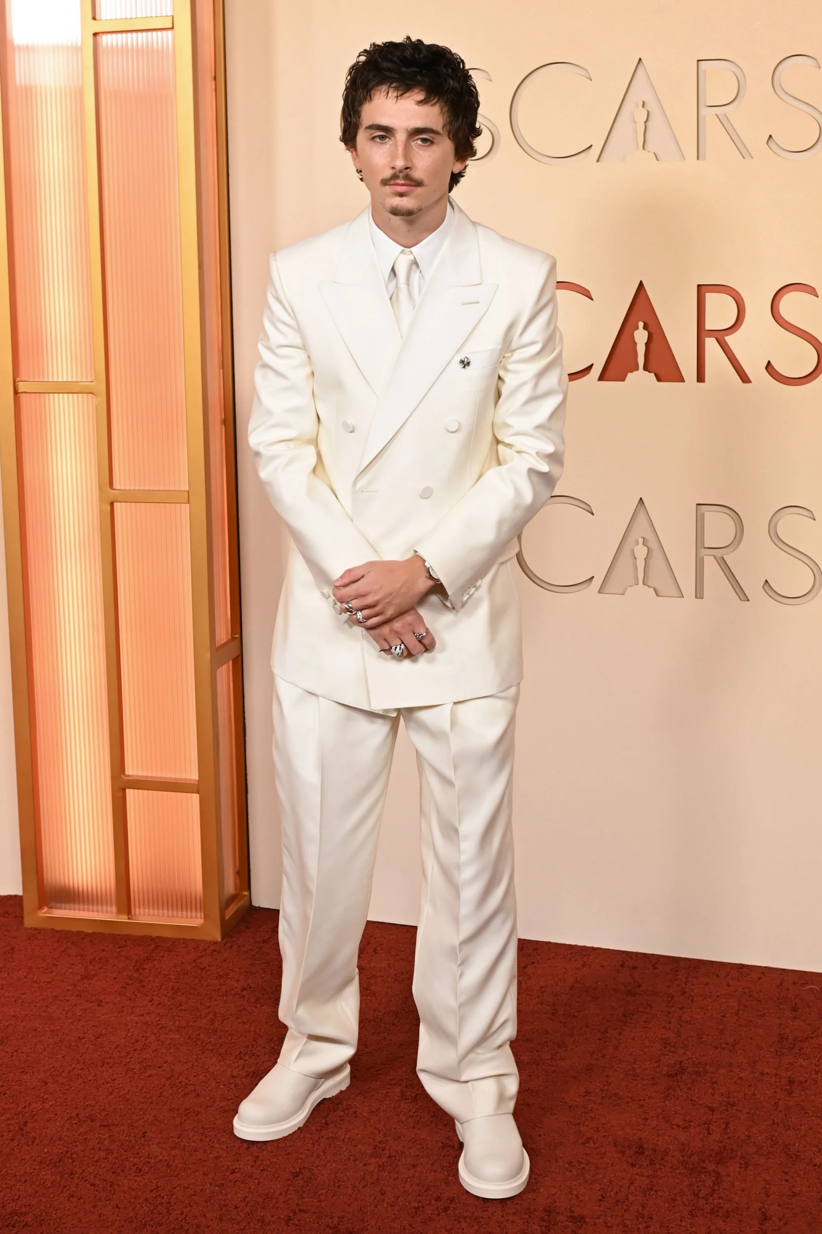 Mandatory Credit: Photo by David Fisher/Shutterstock (16737580wv) Timothee Chalamet 98th Annual Academy Awards, Arrivals, Los Angeles, California, USA - 15 Mar 2026